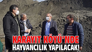 Karayıt Köyü’nde hayvancılık yapılacak!