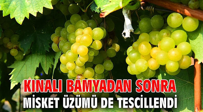 Kınalı bamyadan sonra misket üzümü de tescillendi