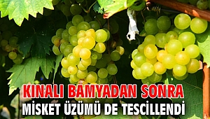 Kınalı bamyadan sonra misket üzümü de tescillendi