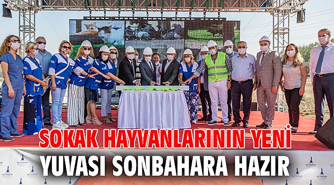 Sokak hayvanlarının yeni yuvası sonbahara hazır