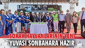 Sokak hayvanlarının yeni yuvası sonbahara hazır