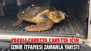 Yaralı Caretta caretta için İzmir İtfaiyesi zamanla yarıştı