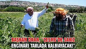 Başkan Oran, “Çeşme’de sakız enginarı tarlada kalmayacak!”