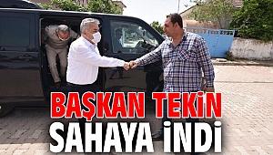 Başkan Tekin sahaya indi