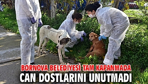 Bornova Belediyesi, can dostlarını unutmadı