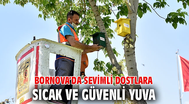 Bornova’da sevimli dostlara sıcak ve güvenli yuva