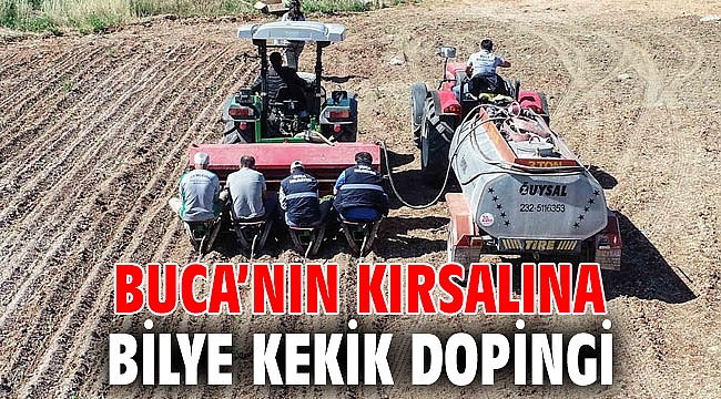 Buca’nın kırsalına bilye kekik dopingi