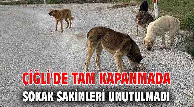 Çiğli'de Tam Kapanmada Sokak Sakinleri unutulmadı