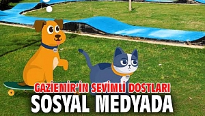 Gaziemir’in sevimli dostları sosyal medyada