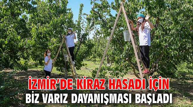 İzmir’de kiraz hasadı için Biz Varız dayanışması başladı