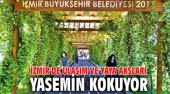 İzmir'de ulaşım ve yaya aksları yasemin kokuyor