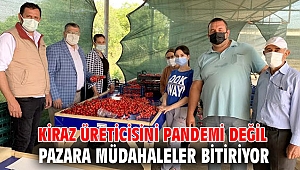 Kiraz üreticisini pandemi değil pazara müdahaleler bitiriyor