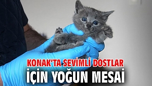 Konak’ta sevimli dostlar için yoğun mesai