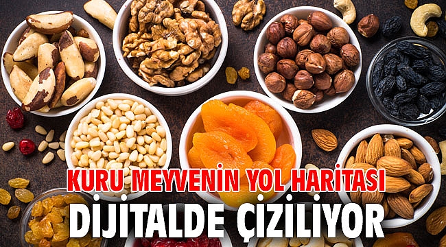 Kuru meyvenin yol haritası dijitalde çiziliyor