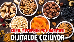 Kuru meyvenin yol haritası dijitalde çiziliyor