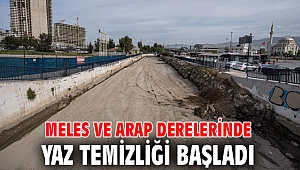 Meles ve Arap derelerinde yaz temizliği başladı