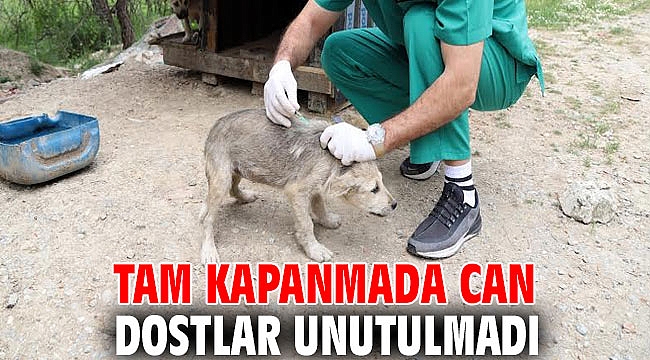 Menderes'te Tam Kapanmada Can Dostlar Unutulmadı