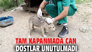 Menderes'te Tam Kapanmada Can Dostlar Unutulmadı