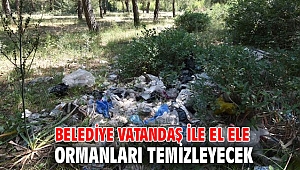 Belediye vatandaş ile el ele ormanları temizleyecek