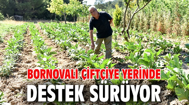 Bornovalı çiftçiye yerinde destek sürüyor