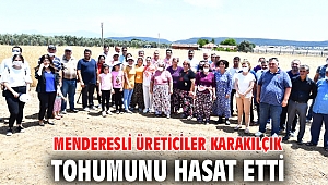 Menderesli üreticiler karakılçık tohumunu hasat etti
