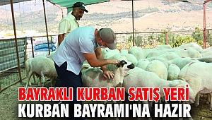 Bayraklı kurban satış yeri Kurban Bayramı'na hazır