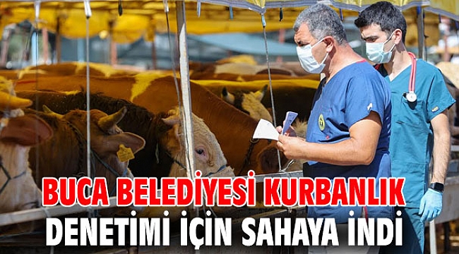 Buca Belediyesi kurbanlık denetimi için sahaya indi