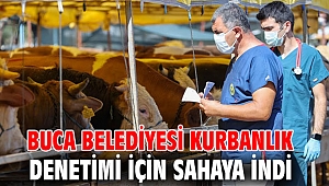 Buca Belediyesi kurbanlık denetimi için sahaya indi