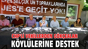 CHP'li vekillerden Gökçealan köylülerine destek