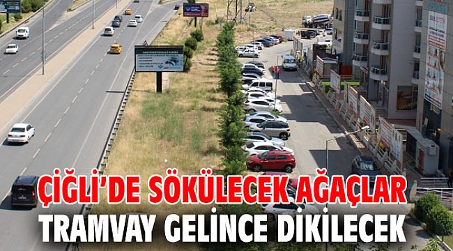 Çiğli’de sökülecek ağaçlar tramvay gelince dikilecek