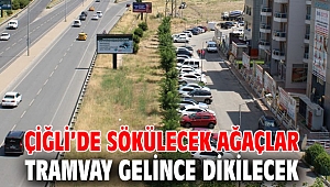 Çiğli’de sökülecek ağaçlar tramvay gelince dikilecek