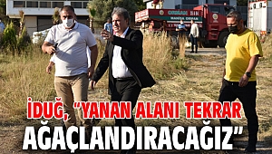 İduğ, “Yanan alanı tekrar ağaçlandıracağız”