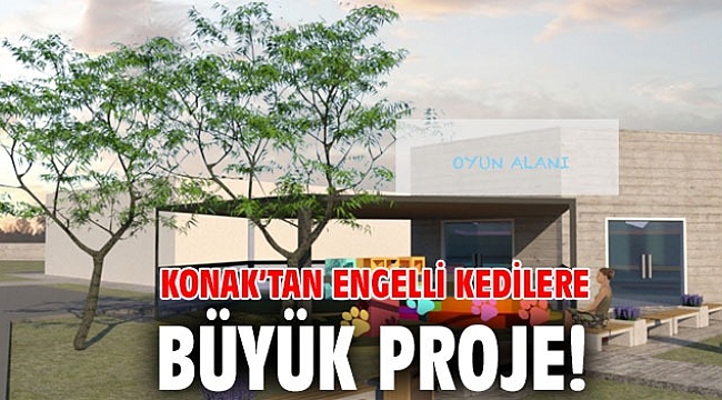 Konak’ın engelli kedi evi projesine 500 bin TL hibe