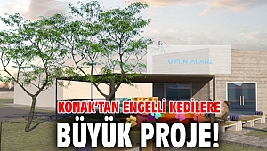Konak’ın engelli kedi evi projesine 500 bin TL hibe