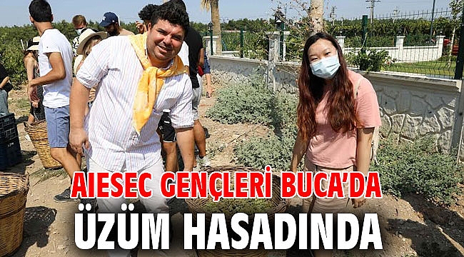AIESEC gençleri Buca’da üzüm hasadında