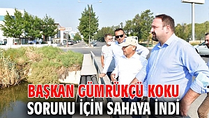 Başkan Gümrükçü Koku Sorunu için Sahaya İndi