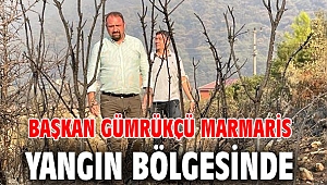 Başkan Gümrükçü Marmaris Yangın Bölgesinde 