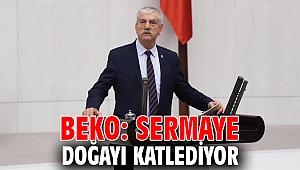 Beko: Sermaye Doğayı katlediyor