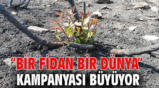 “Bir Fidan Bir Dünya” kampanyası büyüyor