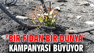 “Bir Fidan Bir Dünya” kampanyası büyüyor