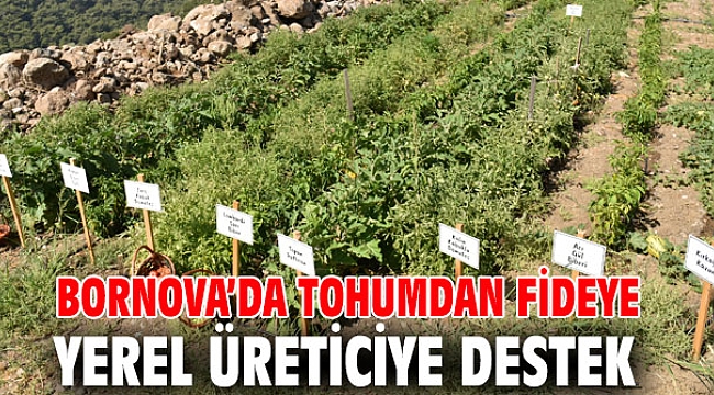 Bornova’da tohumdan fideye yerel üreticiye destek