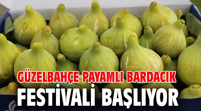 Güzelbahçe Payamlı Bardacık Festivali Başlıyor