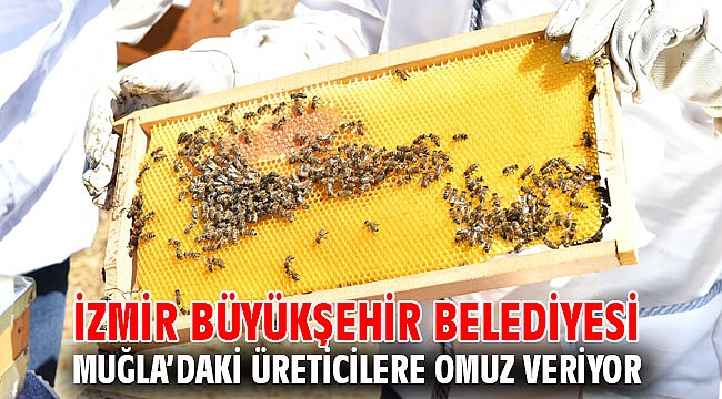 İzmir Büyükşehir Belediyesi Muğla’daki üreticilere omuz veriyor