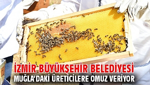 İzmir Büyükşehir Belediyesi Muğla’daki üreticilere omuz veriyor