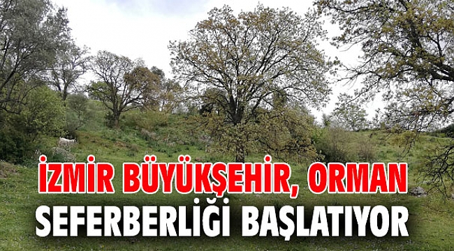 İzmir Büyükşehir, orman seferberliği başlatıyor