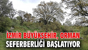 İzmir Büyükşehir, orman seferberliği başlatıyor