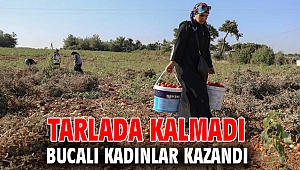 Tarlada kalmadı Bucalı kadınlar kazandı
