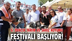 6. Ovacık Tarım ve Sakız Koyunu Festivali başlıyor!