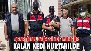 APARTMAN DAİRESİNDE MAHSUR KALAN KEDİ KURTARILDI!