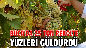Buca'da 25 ton rekolte yüzleri güldürdü